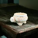 Gardien de la Terre  4.webp