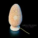 Oeuf de Lumière - Image 1.webp