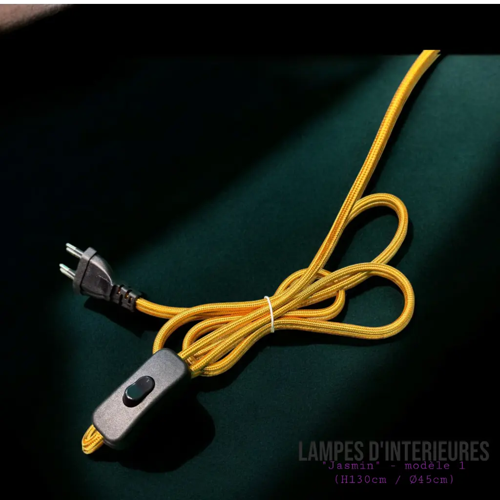 Jasmin (modèle 1) - Image 2.webp